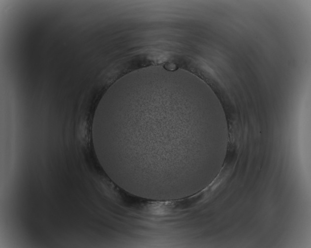 X0000089700136200706281501