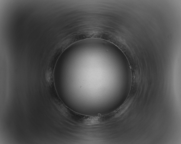 X0000089700138200706281501