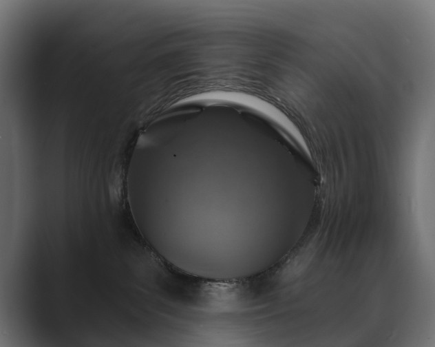 X0000089700139200706281501