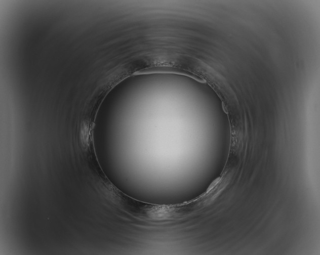 X0000089700142200706281501