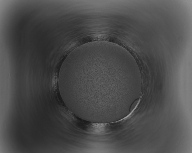 X0000089700144200706281501