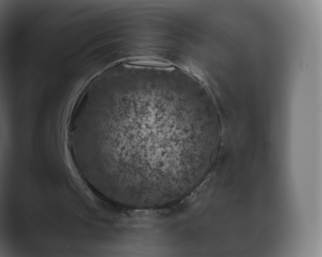 X0000089700145200706281500