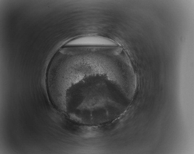 X0000089700147200706281501