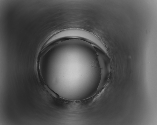 X0000089700148200706281501