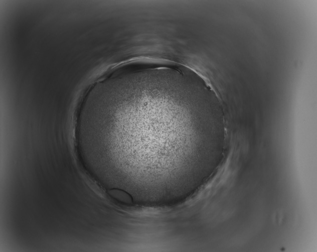 X0000089700149200706281501