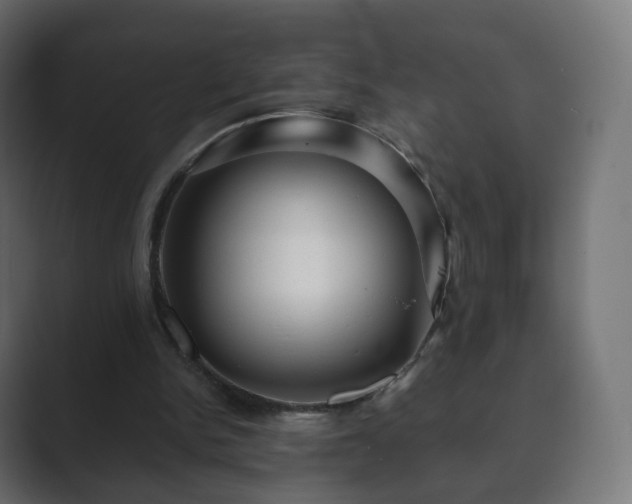 X0000089700150200706281501