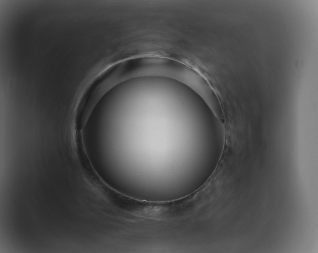 X0000089700152200706281501