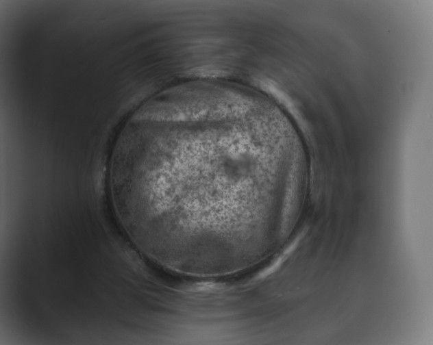 X0000089700153200706281501