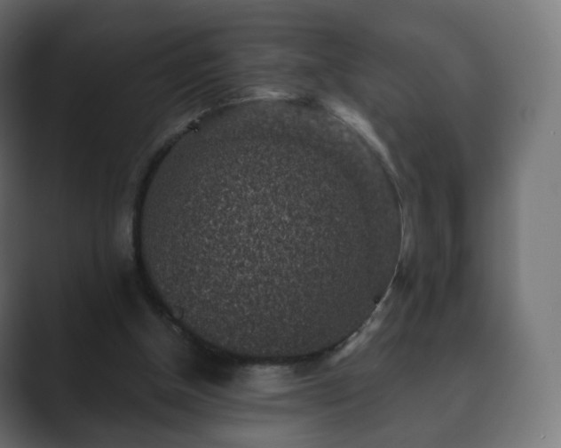 X0000089700154200706281501