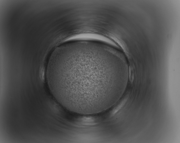 X0000089700157200706281501