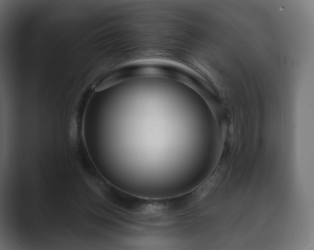 X0000089700158200706281501