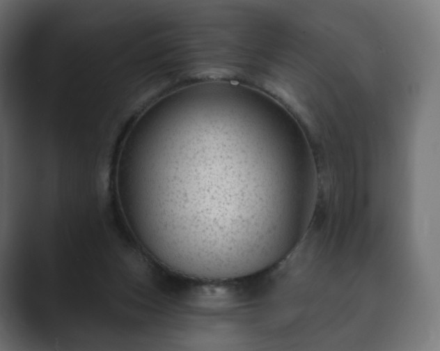 X0000089700159200706281501