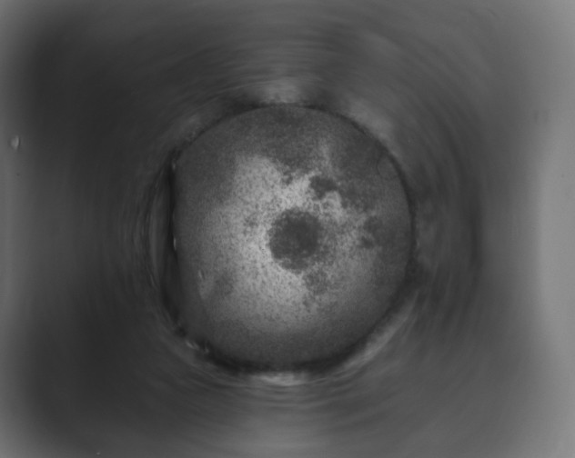 X0000089700161200706281501