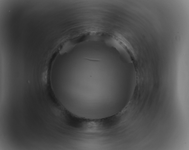 X0000089700163200706281501