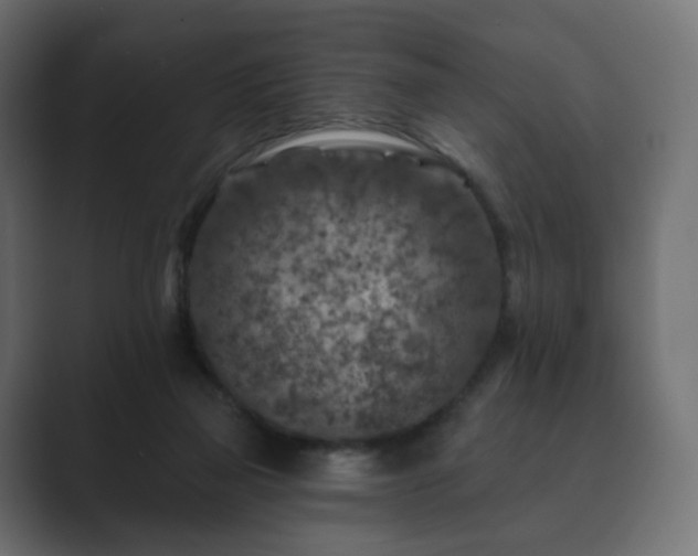 X0000089700165200706281501