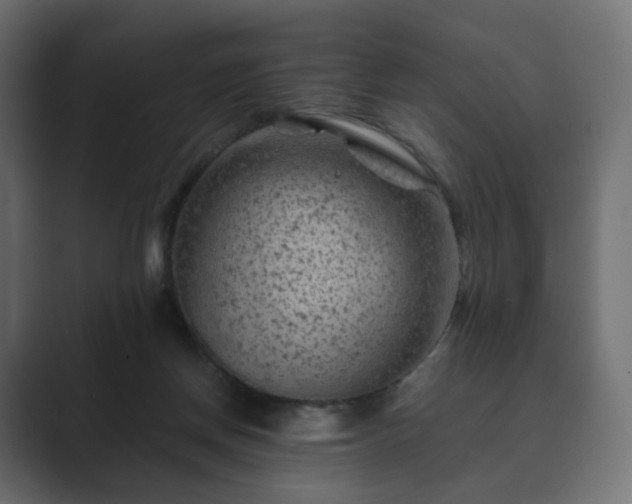 X0000089700166200706281501