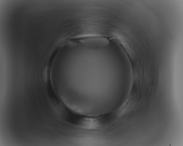 X0000089700167200706281501