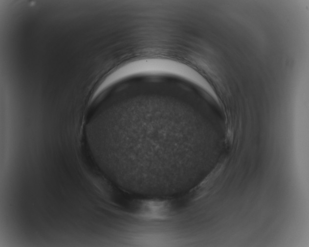 X0000089700168200706281501