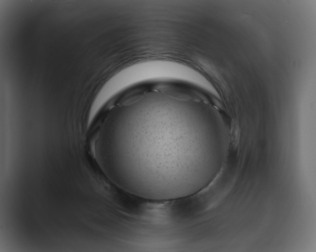 X0000089700170200706281501