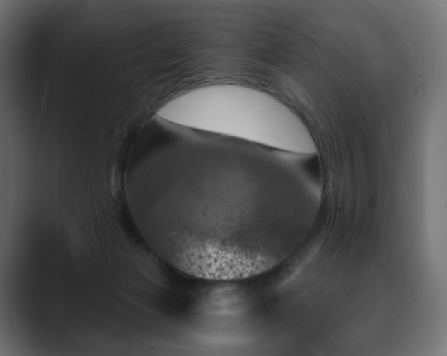 X0000089700173200706281501