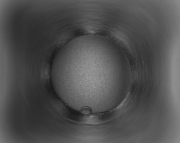 X0000089700174200706281501