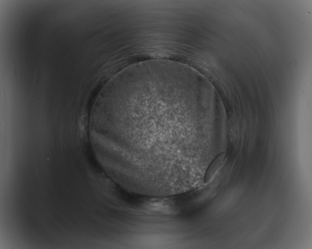 X0000089700175200706281501