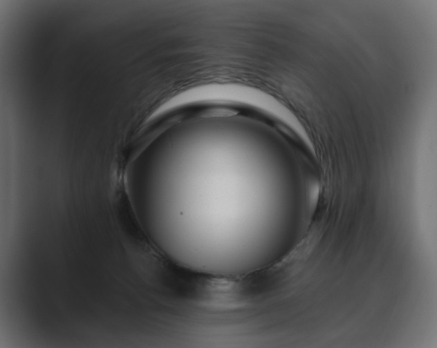 X0000089700176200706281501