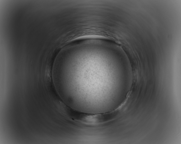 X0000089700178200706281501