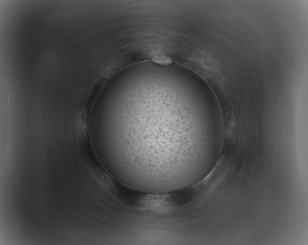 X0000089700179200706281501