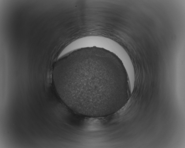 X0000089700180200706281501