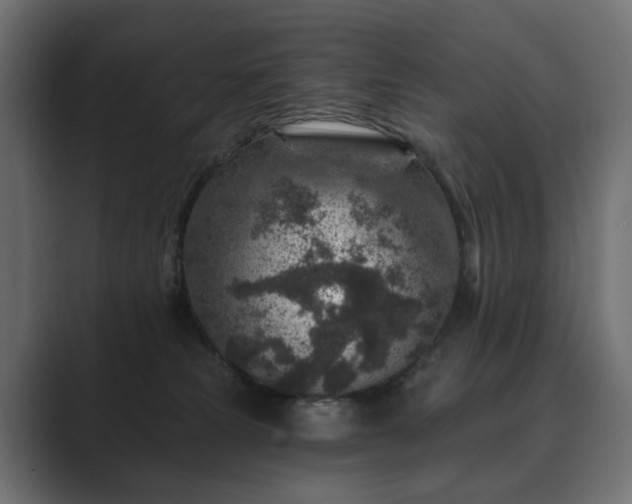 X0000089700181200706281501