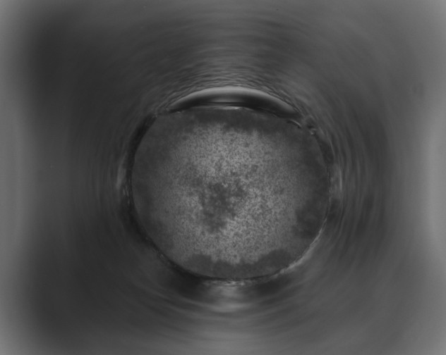 X0000089700182200706281501