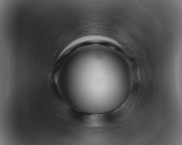 X0000089700184200706281501