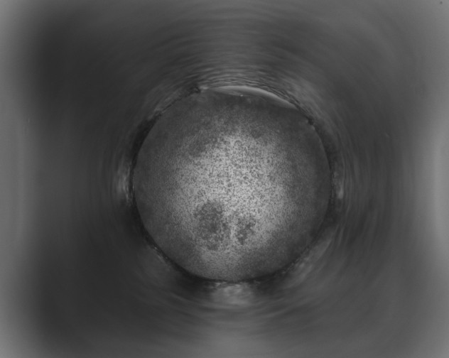 X0000089700185200706281501