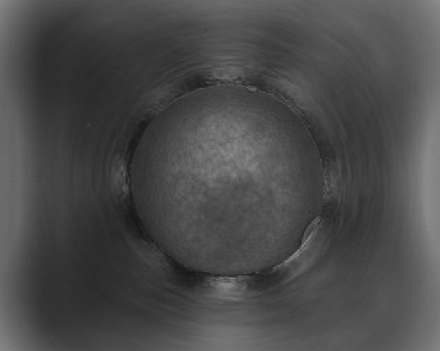 X0000089700187200706281501