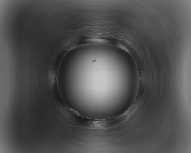 X0000089700188200706281501