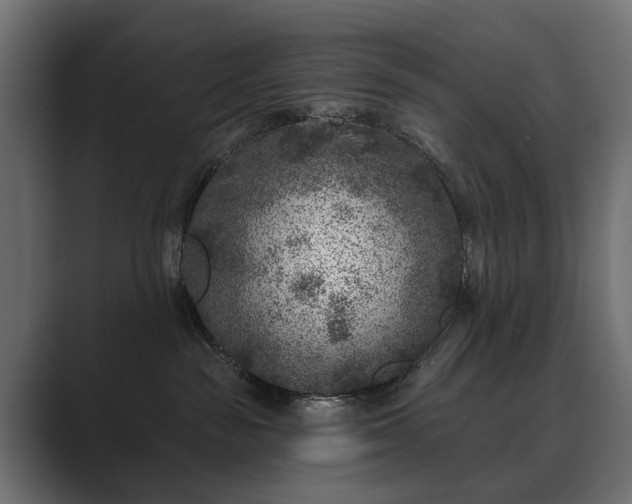 X0000089700189200706281501