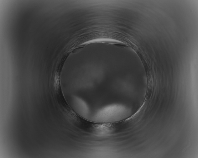 X0000089700191200706281501