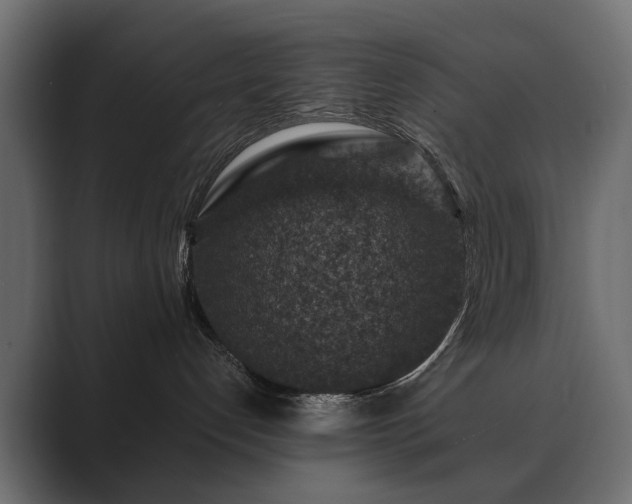 X0000089700192200706281501