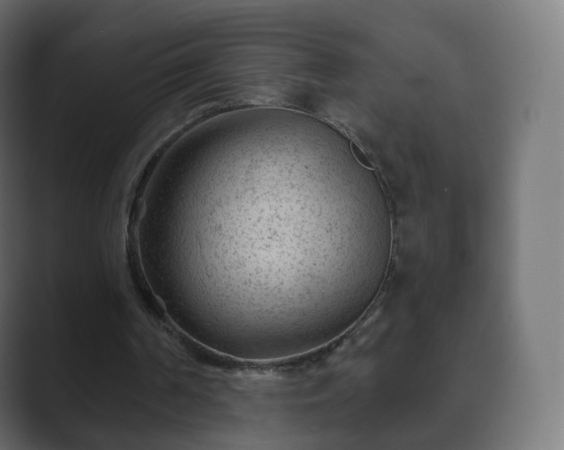 X0000089700194200706281500