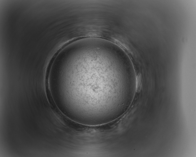 X0000089700195200706281500