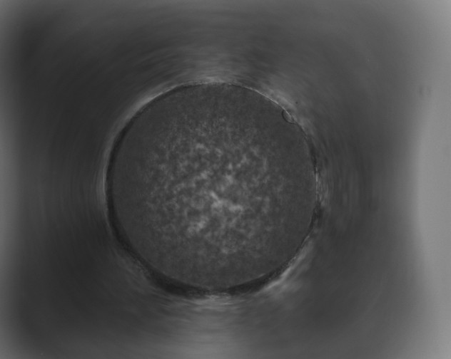 X0000089700196200706281500