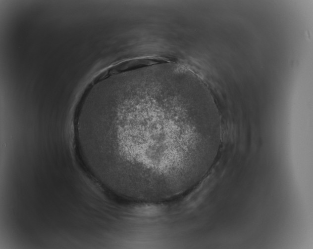 X0000089700198200706281500