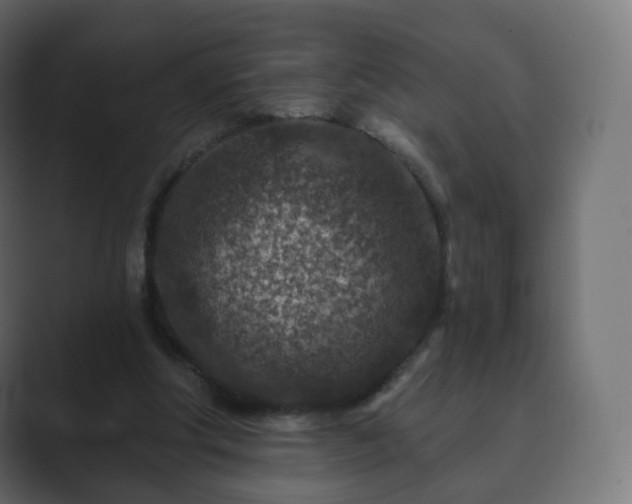 X0000089700202200706281500