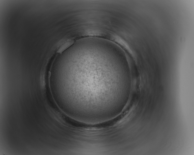 X0000089700203200706281500