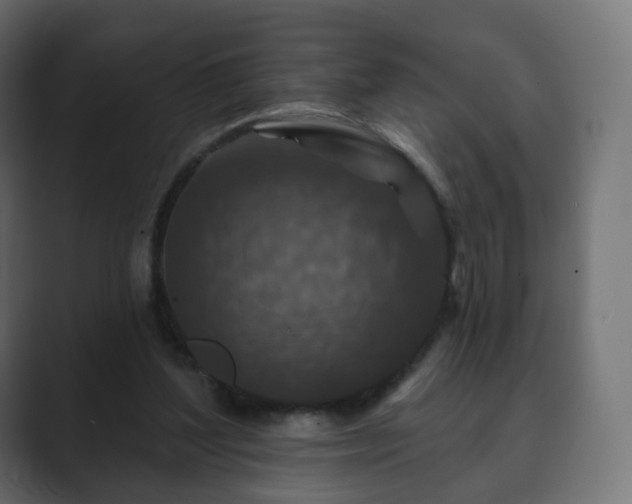 X0000089700204200706281500