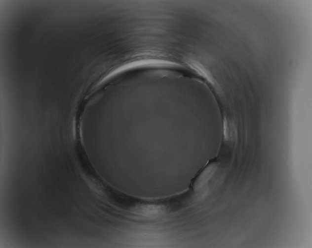 X0000089700205200706281500