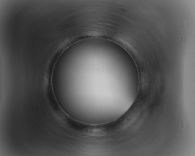 X0000089700208200706281500