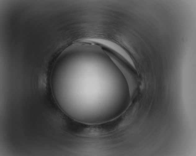 X0000089700211200706281500