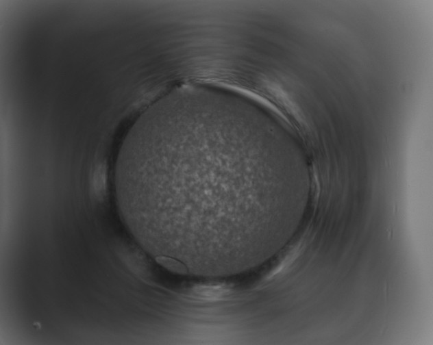 X0000089700213200706281500